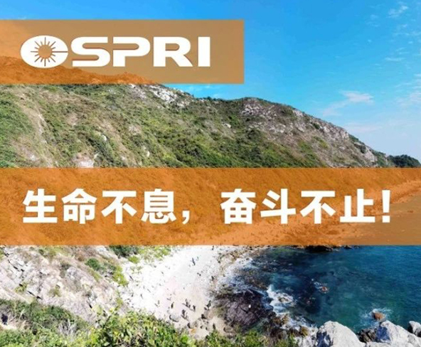 越過山丘 ，才發(fā)現(xiàn)最美深圳在等候